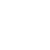 icons8-netflix-logo-100